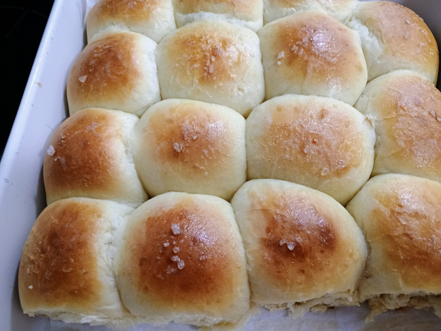 Dinner Rolls